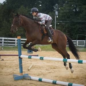 Meet your Posher, Juniper